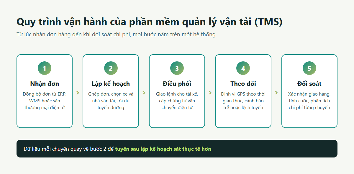 Quy trình 5 bước của phần mềm quản lý vận tải TMS: nhận đơn, lập kế hoạch, điều phối, theo dõi, đối soát