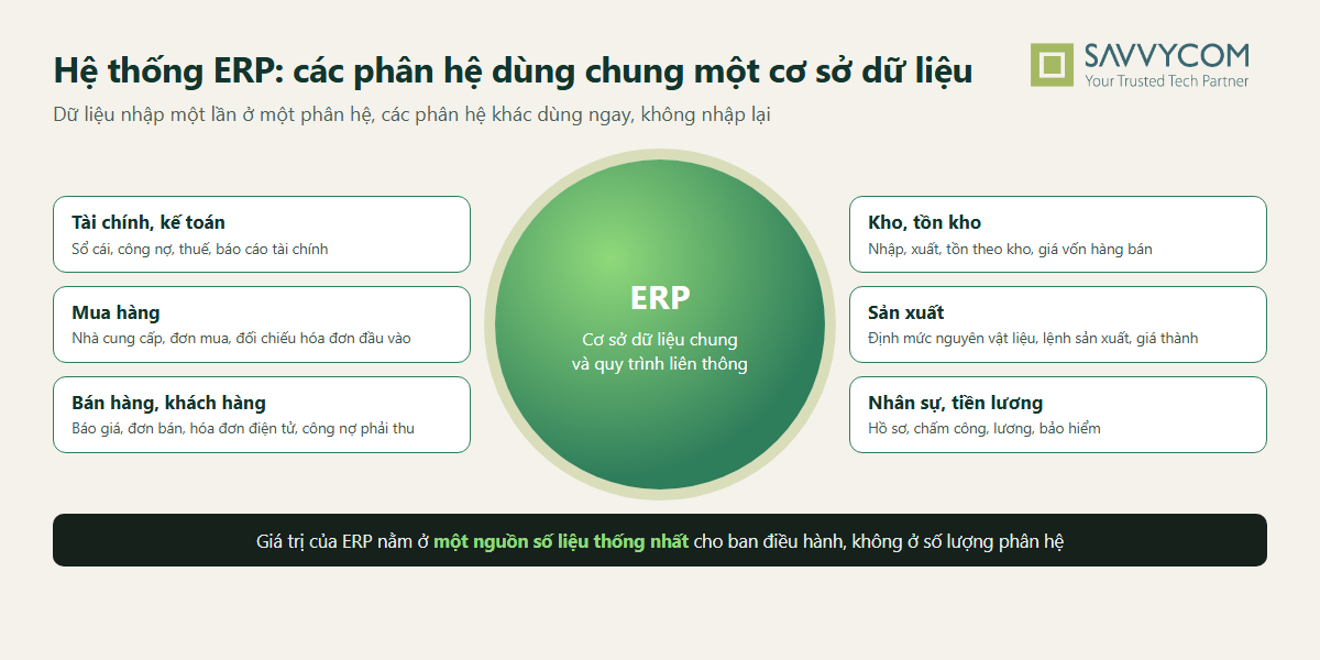 Sơ đồ hệ thống ERP gồm 6 phân hệ tài chính kế toán, mua hàng, bán hàng, kho, sản xuất, nhân sự dùng chung một cơ sở dữ liệu